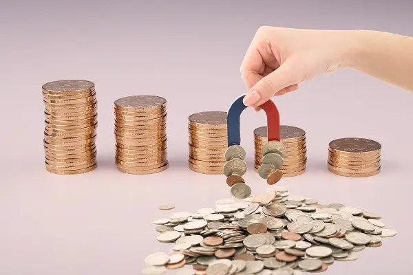 养生美食教程分享